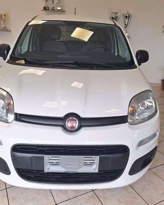 Fiat Panda 1.0 GSE S&S Hybrid Pop Van 2 posti