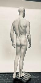 Manichino uomo anatomico in resina-base in vetro
