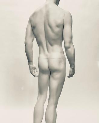 Manichino uomo anatomico in resina-base in vetro