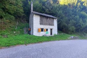 STAVOLO IMMERSO NEL VERDE