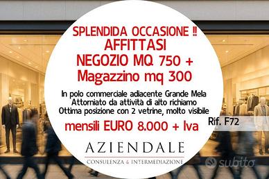 Immobile di 1000 m² con 2 locali a Bussolengo