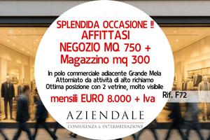 Immobile di 1000 m² con 2 locali a Bussolengo