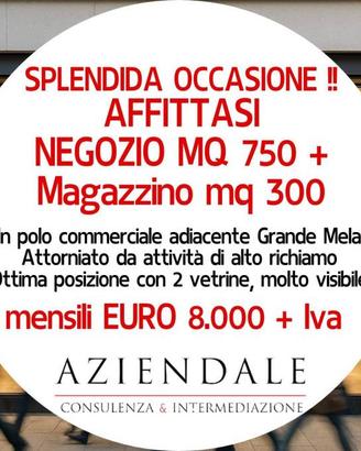 Immobile di 1000 m² con 2 locali a Bussolengo