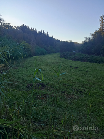 Campo pianeggiante per cavalli