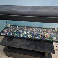 acquario con mobiletto 