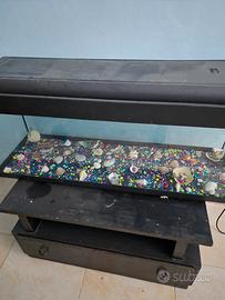 acquario con mobiletto 