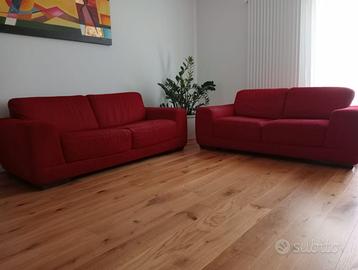 Coppia divani NATUZZI