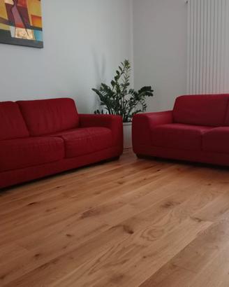 Coppia divani NATUZZI