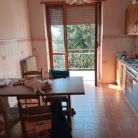 Casa e terreno a San Damiano D'Asti