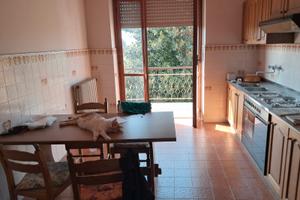 Casa e terreno a San Damiano D'Asti