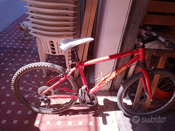 Bici Cannondale
