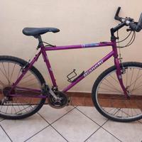 bici mountainbike Bianchi ruota 26