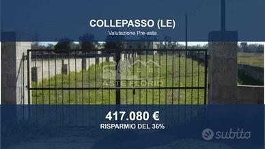 Immobile in asta di 950 m² a Collepasso