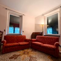 Coppia di divani vintage