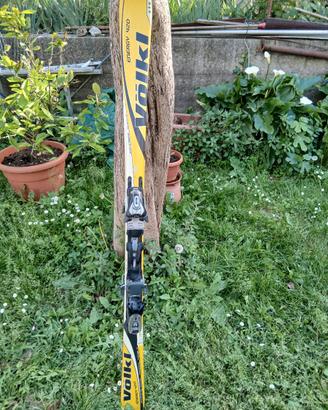 Sci Volk usati 156 cm.