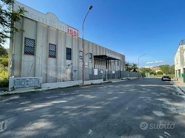 Capannone zona artigianale enna