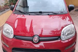 FIAT PANDA 1.3 MULTIJET ANNO 2014