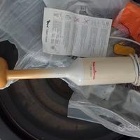 Minipimer mixer a immersione Mulinex