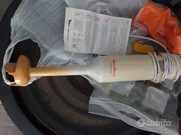 Minipimer mixer a immersione Mulinex