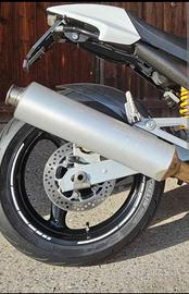 scarichi Ducati Monster 