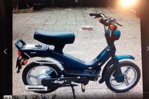 un buon motorino  grillo