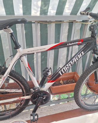 Bici Torpado Light Pro 2