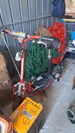Monopattino elettrico 