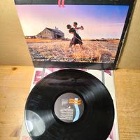 Disco vinile LP 33 giri - Pink Floyd