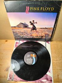 Disco vinile LP 33 giri - Pink Floyd