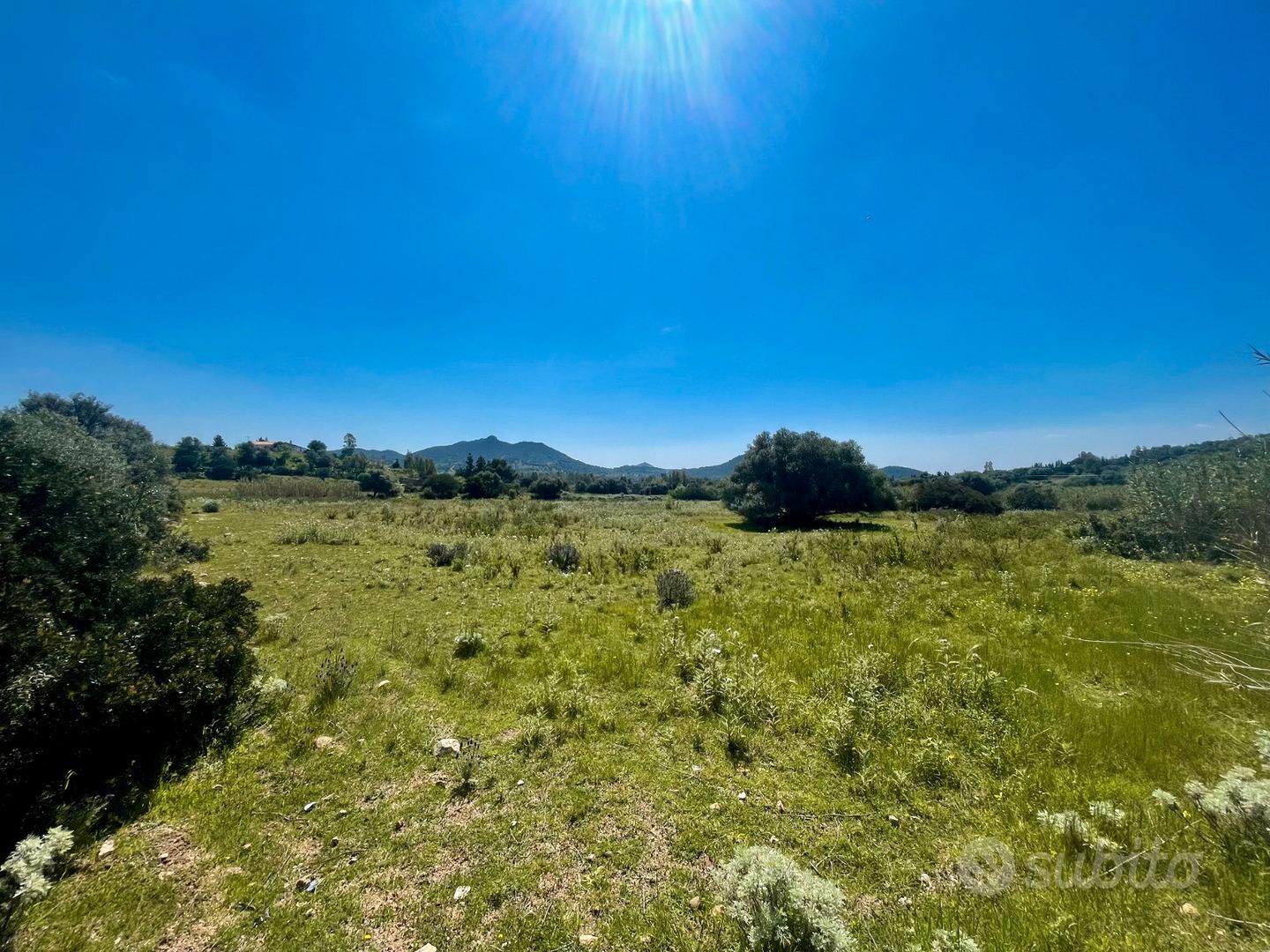 Terreno pianeggiante con rustico - Vista 3