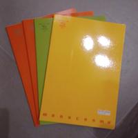 Quaderni scuola monocromo 100