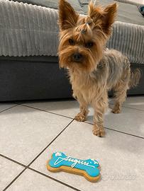 Accopiamento Yorkshire