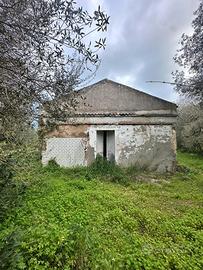 Immediata periferia 5 Km dal mare sogno rurale 2.0