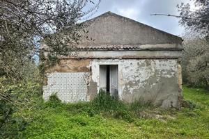 Immediata periferia 5 Km dal mare sogno rurale 2.0