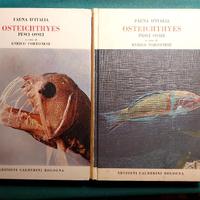 Fauna d'Italia Osteichthyes Pesci Ossei.