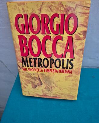 LIBRO METROPOLIS