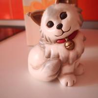 Gatto Maine Coon THUN - con Scatola - Fu