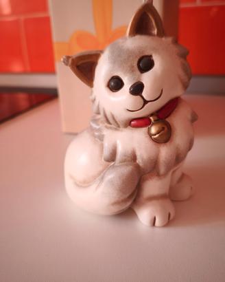 Gatto Maine Coon THUN - con Scatola - Fu