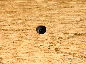 Uova sungaya inexpectata