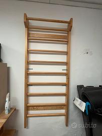 Splalliera svedese da palestra