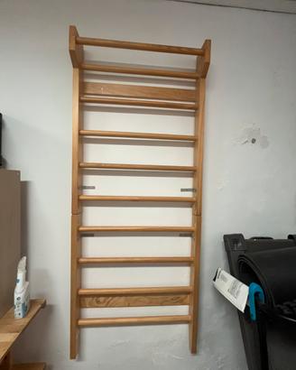 Splalliera svedese da palestra