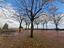 Immagine 18