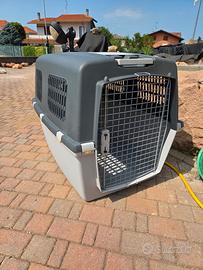 trasportino per cani