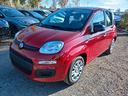 fiat-panda-1-0-firefly-s-s-hybrid-pandina