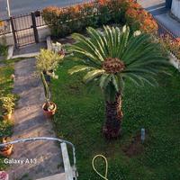 Terracina casa indip.giardinoterrazzoverandap.auto