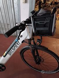 bici elettrica 