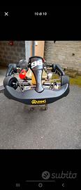 go kart 100cc