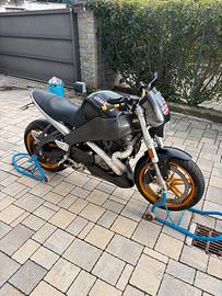 Buell Lightning XB12S