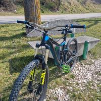 bicicletta da enduro