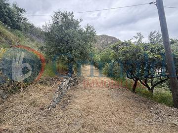 Terreno Agricolo Messina [0681-83VCG]